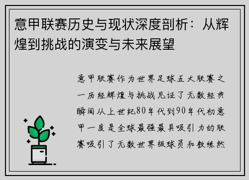 意甲联赛历史与现状深度剖析:从辉煌到挑战的演变与未来展望 意甲联赛历史与现状深度剖析:从辉煌到挑战的演变与未来展望